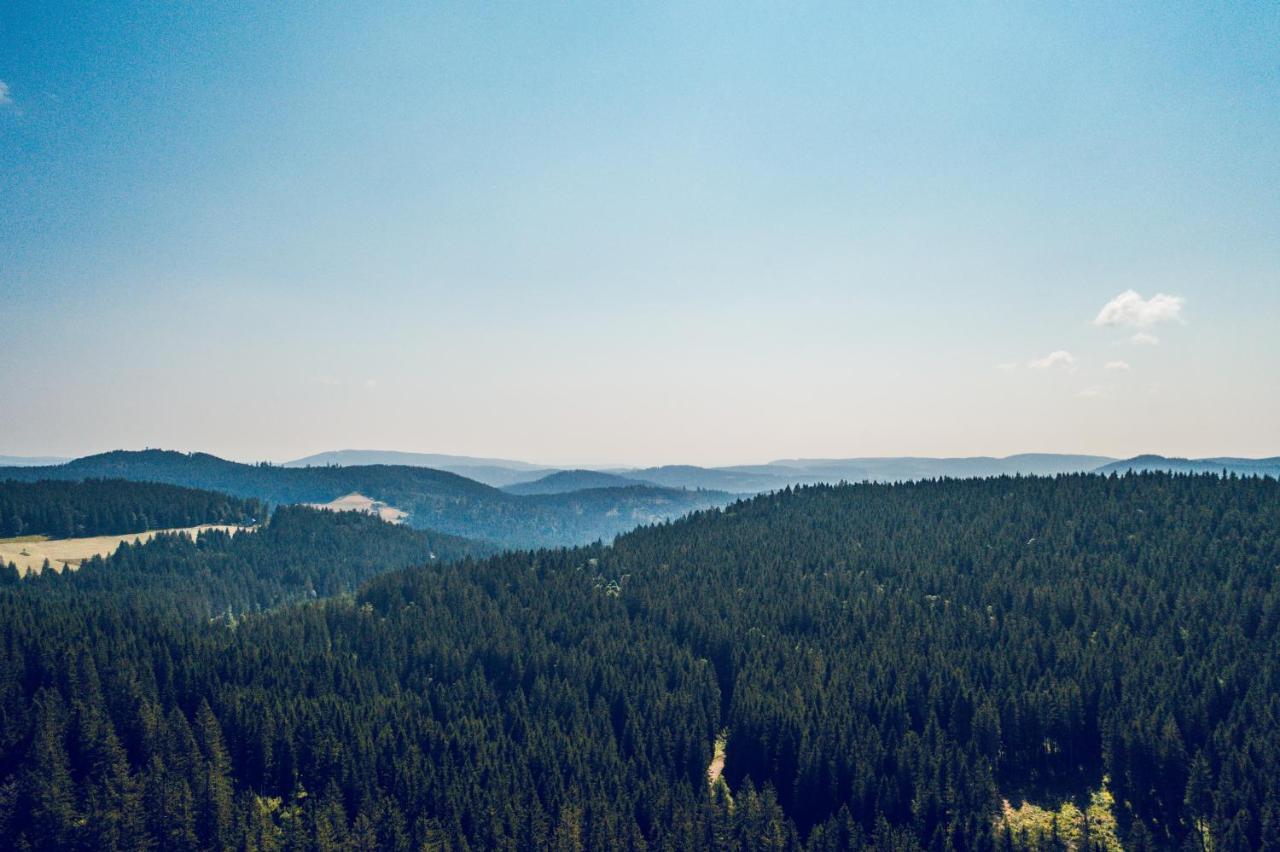 Appartamento Minaroso Am Badeparadies Titisee-Neustadt